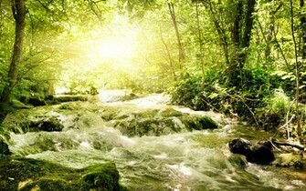 Beautiful Refreshing Spring Wallpaper