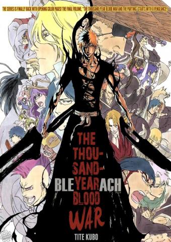 Bleach Anime Return Art Ichigo