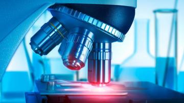 Translations For The Medicine And Pharmaceutical Industry