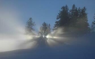 Winter Sun Wallpaper