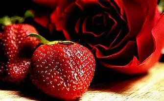 Red Rose Love Wallpaper