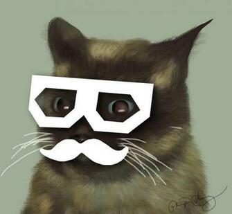 Dubstep Cat Wallpaper