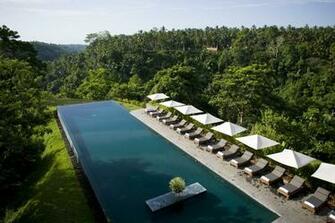 Pool Alila Ubud Sunbed Tourism Travel Forest