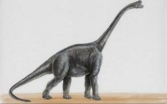 Do You Have A Favorite Dinosaur Wallpaper