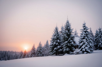 Winter Snow Scenes Wallpaper