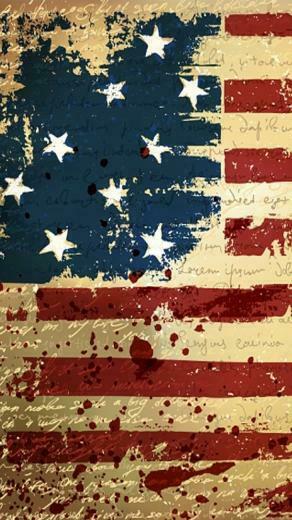 Usa Flag iPhone Wood Wallpaper