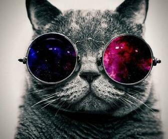 Galaxy Cat Wallpaper