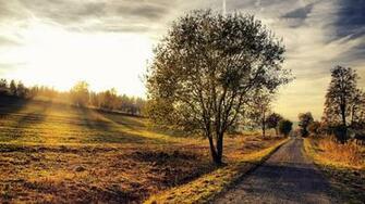 The Countryside Photography Photo