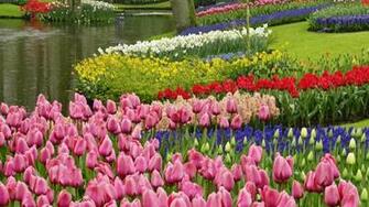 Hop Into Spring With Desktop Wallpaper For Springtime