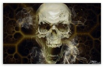 Skull HD Desktop Wallpaper High Definition Fullscreen Mobile
