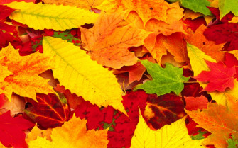 Beautiful Wallpaper For Desktop