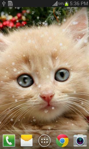 Christmas Cat Live Wallpaper Pro Is