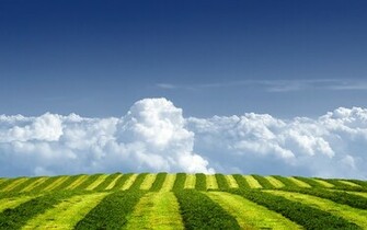 Cell Phone Wallpaper HD Nature For Mac