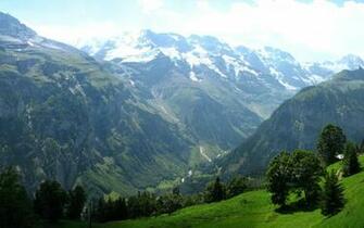 Summer Mountains Wallpaper Meadows Fields Grass Landscape