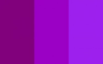 Purple Web Munsell And X11 Gui Three Color Background