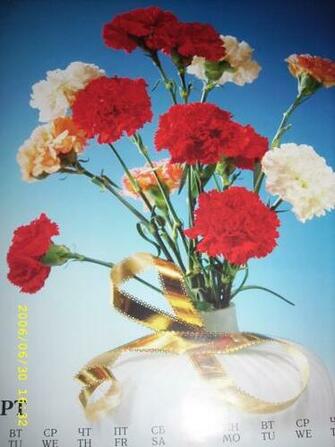 Card Flowers Wallpaper