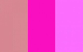 Blush Shocking Pink And Crayola Three Color Background