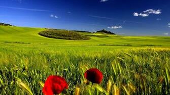 Photo Well Designed Nice Nature Wallpaper Cool