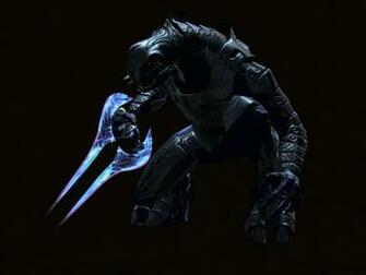 Halo Nation The Encyclopedia