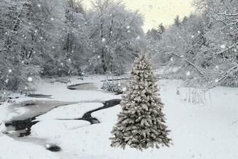 Winter Solstice By Justmeandmycoffee