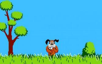 Donald Duck Hunting Computer Wallpaper Desktop Background