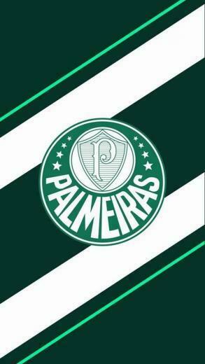 Papel De Parede Do Palmeiras Wallpaper Baixar Gr Tis Na O
