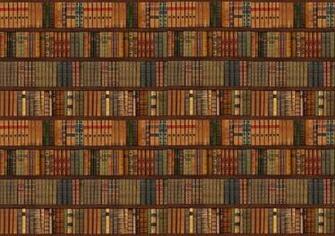 Library Bookcase Old Books Wall Mural Decor Photo Wallpaper Art