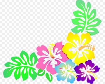 Pink Flowers Background