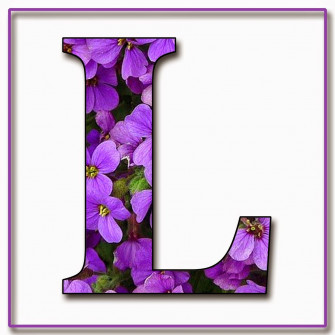 Alphabet L Wallpaper Find Graphic Resources For
