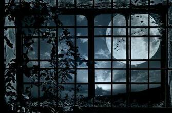 Grille Plant Bindweed Moon Flock Birds Mood Bokeh Wallpaper Background