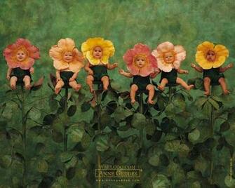 Anne Geddes Baby Photography Newborn
