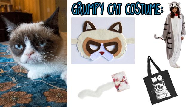 Grumpy Cat Costume