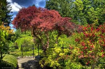 Wallpaper Gardens Butchart Victoria Canada Desktop