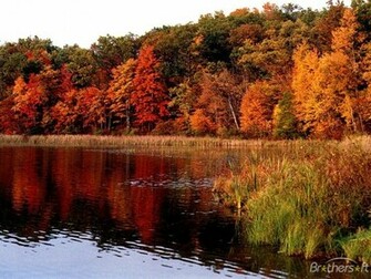 Desktop Wallpaper Fall Foliage In HD