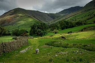 Green Mountains Scotland Wallpaper Open Walls