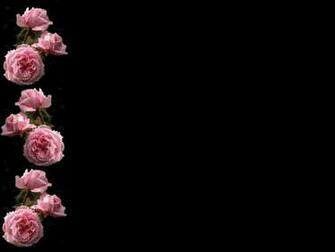 Pink And Black Rose Wallpaper