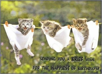 Funny Happy BirtHDay Wallpaper In HD With Quotes