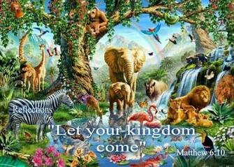 Org Jw Why Jesus Photo Wallpaper And Wild Animals
