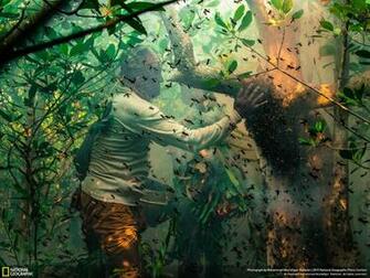 Wallpaper From National Geographic