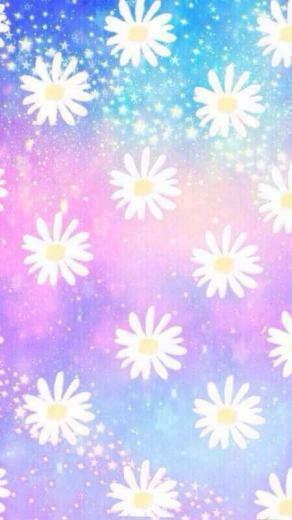Wallpaper Background Phone Background Daisy