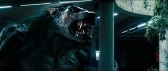 Underworld Werewolf Wallpaper Wer