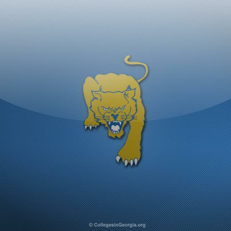 Thumbs Fort Valley State Wildcats iPad Wallpaper