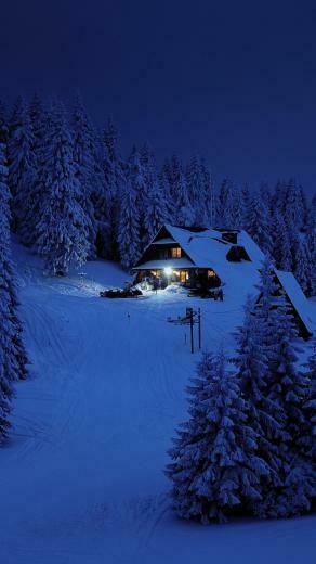 House Night Winter Trees Snow Layer Nature