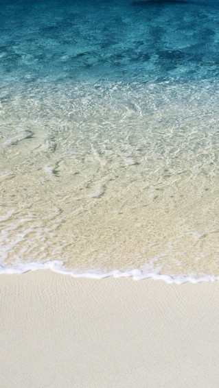Summer Wallpaper For Phone