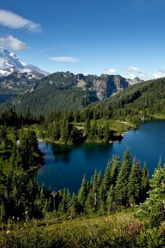 Mount Rainier Washington Usa iPhone Wallpaper