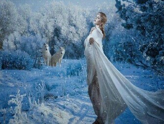 Winter Love Wallpaper HD Pw