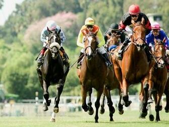 Great Horse Racing Background For Computer Wallpaper