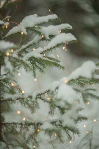 Farmhouse Winter Christmas Aesthetic