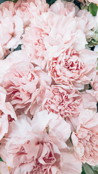 Pink Wallpaper HD Hq