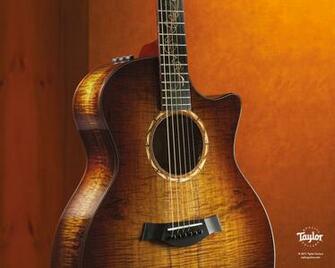 Taylor Guitars Wallpaper